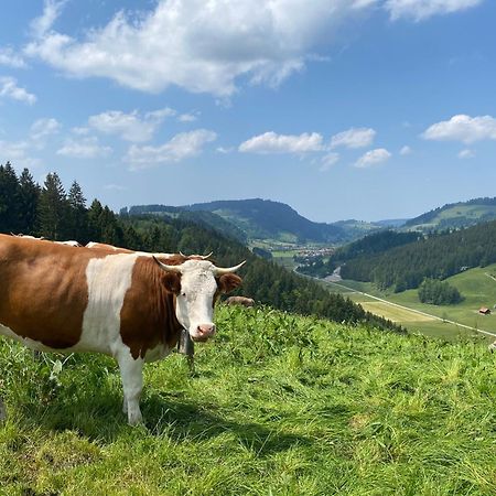 Weitnaustyle - Renoviert, Modern, Allergikerfreundlich Экстерьер фото